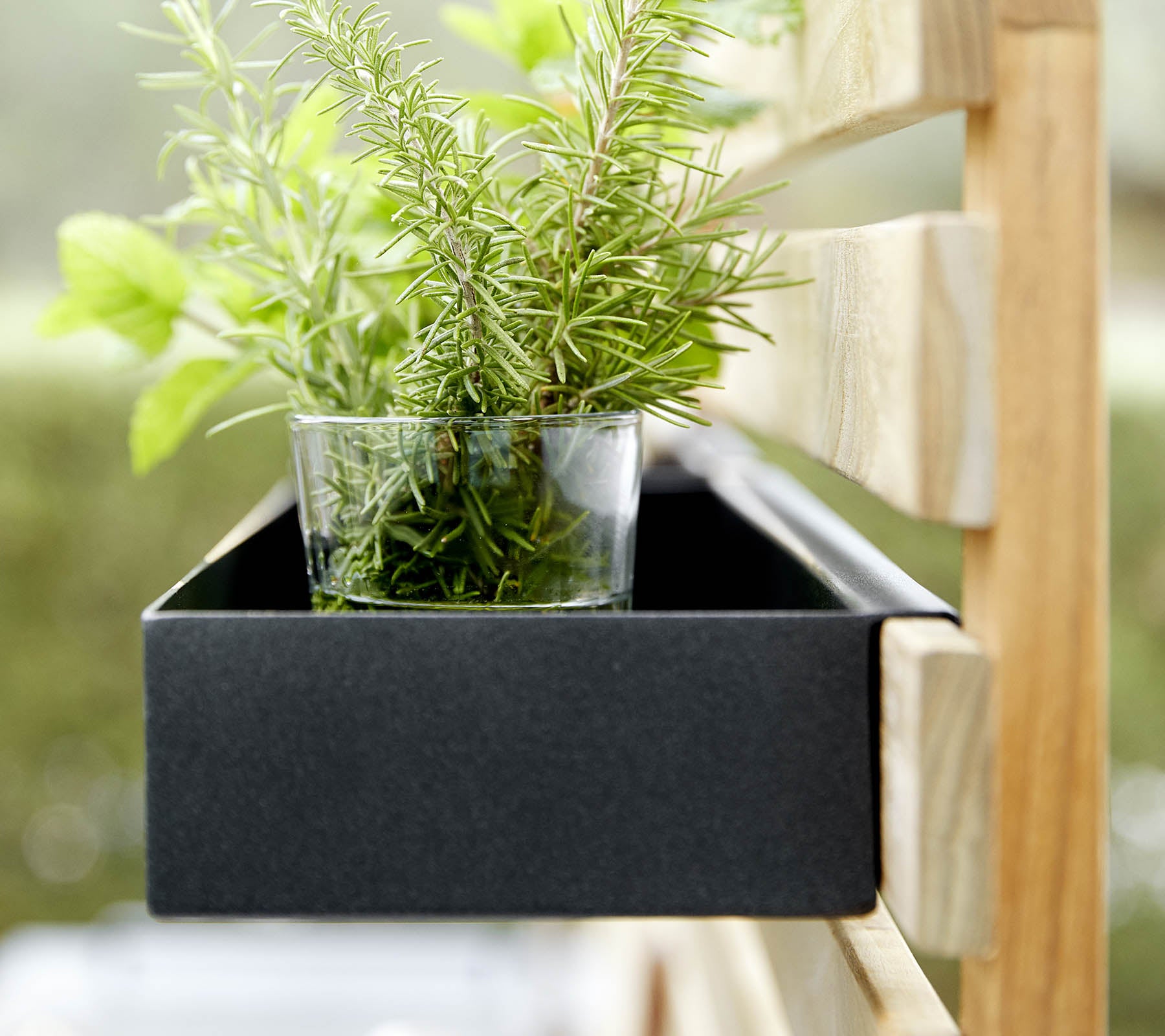 Een zwarte plantenbak houdt een glas met verse groene kruiden, geplaatst tegen een houten frame.