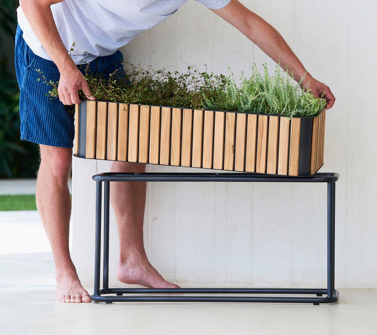Een persoon rangschikt planten in een houten plantenbak bovenop een slank metalen standaard, waarmee een mix van natuurlijke en moderne designelementen wordt getoond.