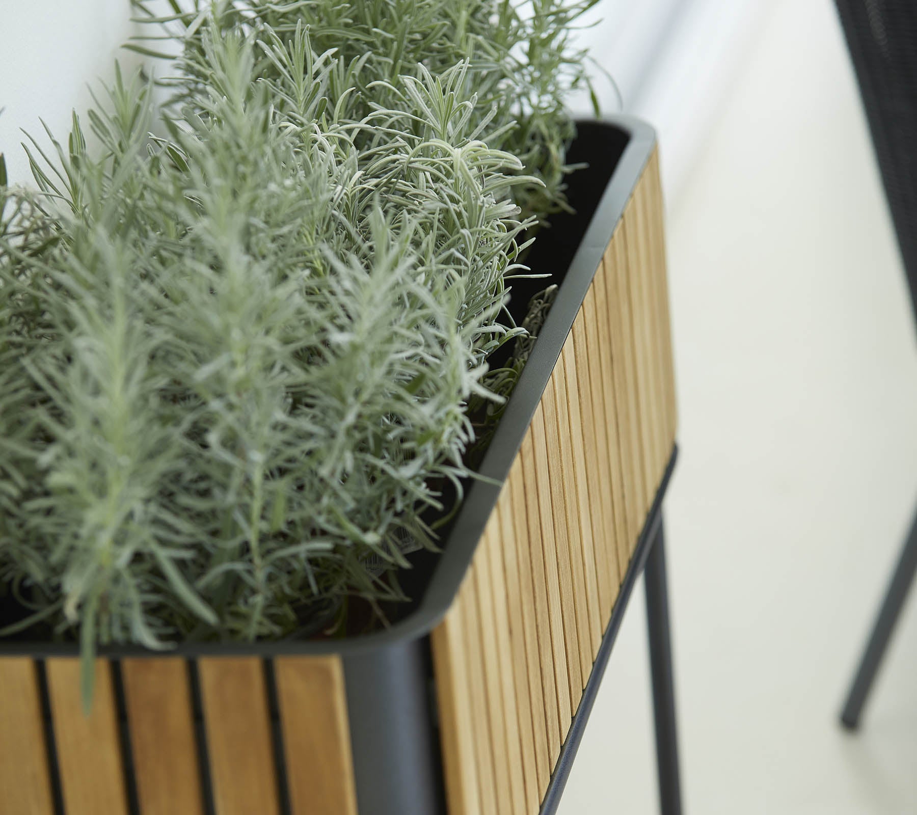 Planten met een strak design met een houten lattenexterieur en weelderige groene planten, die een vleugje natuur aan de omgeving geven.