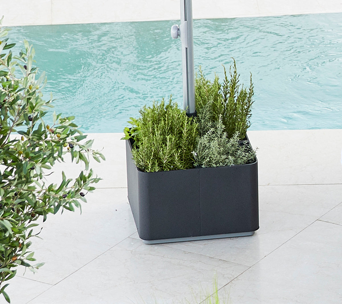 Planten gevuld met levendig groen, met verschillende planten geplaatst naast een waterpartij, wat een frisse, serene sfeer biedt.