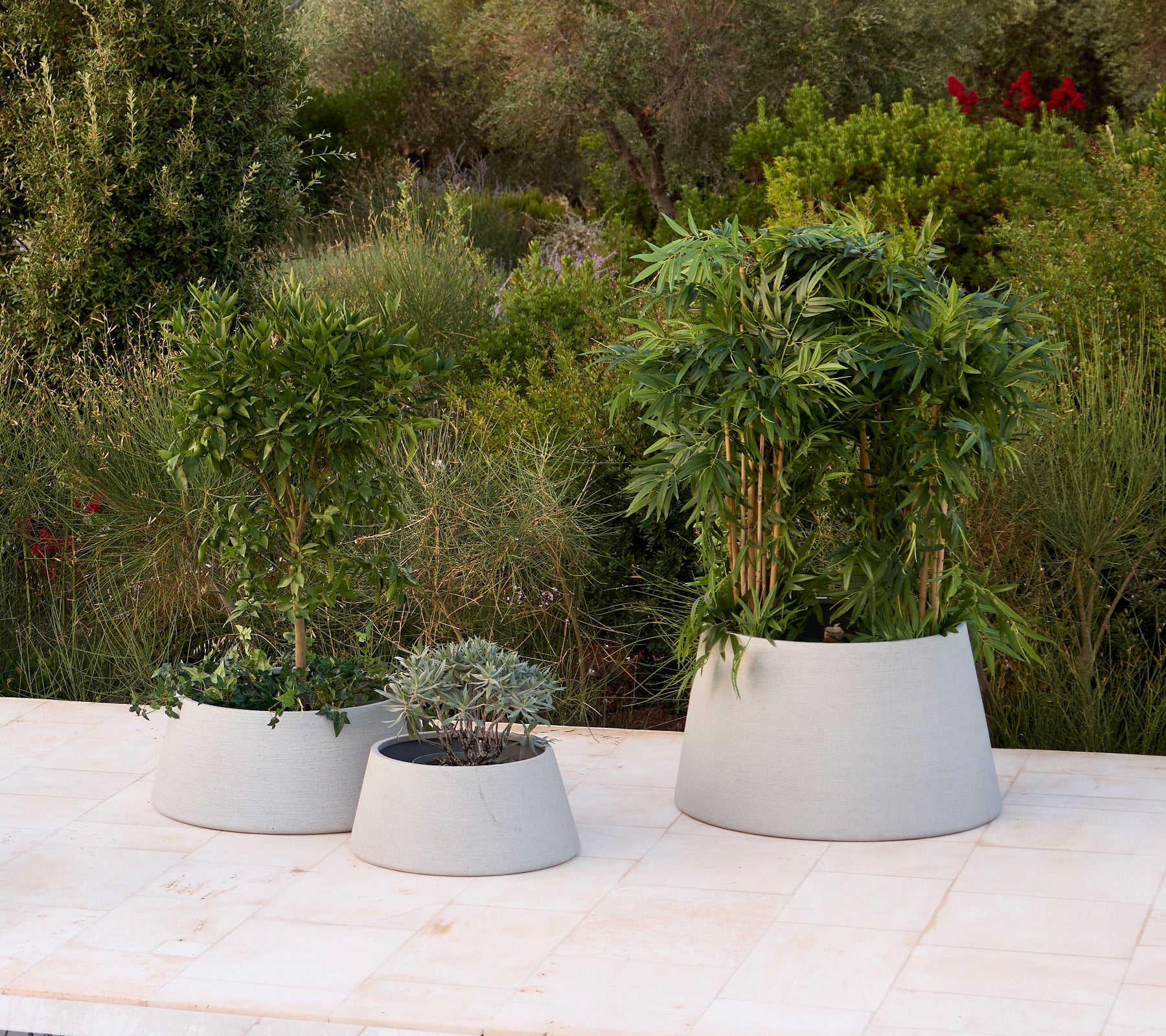 Drie moderne grijze bloempotten met verschillende planten in een tuinsituatie.