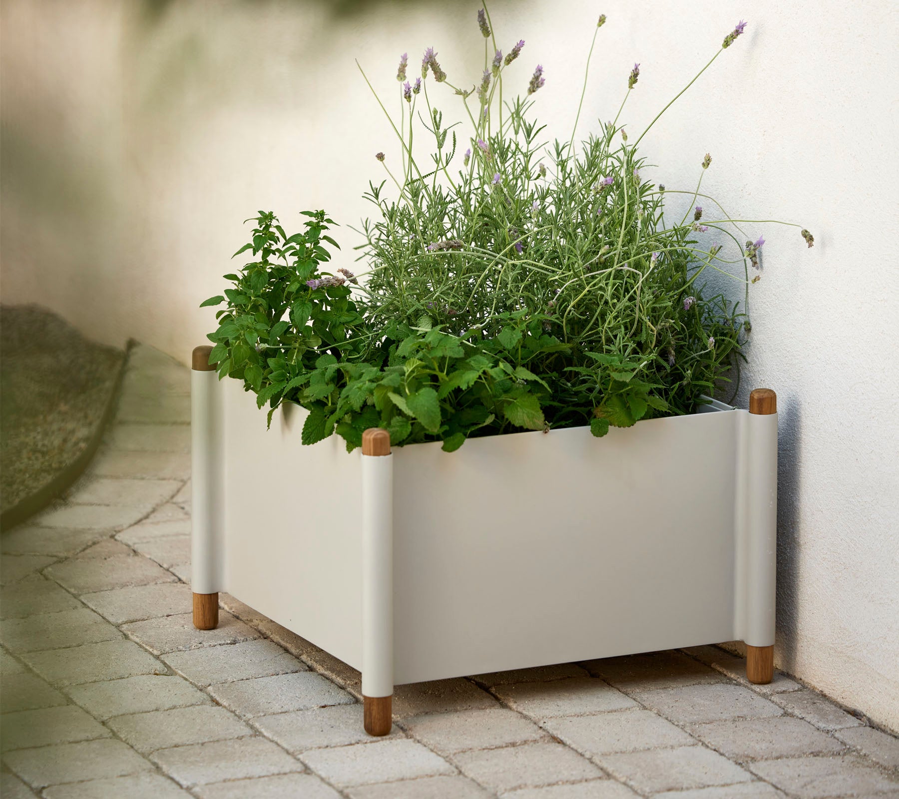 Een moderne plantenbak gevuld met verschillende groene kruiden en planten, met natuurlijke houten accenten op de hoeken.